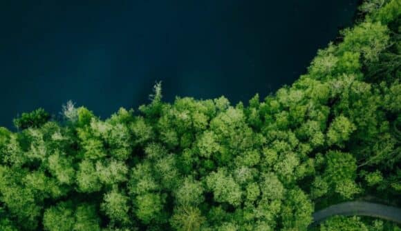 Metsä veden äärellä – konsernin osavuosikatsaus Q3