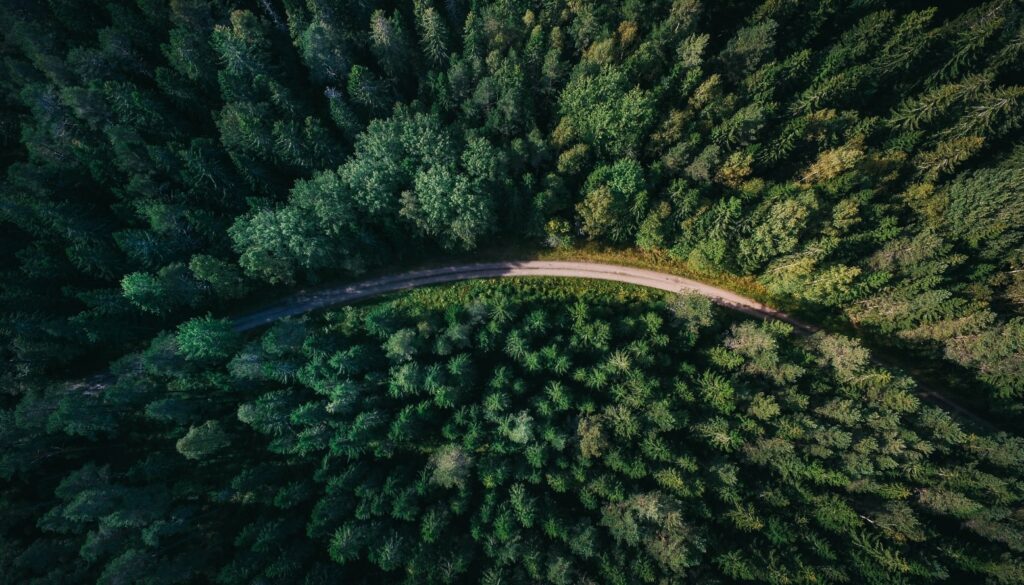 An aerial view of a winding road cutting through a dense, green forest represents the clear direction and support provided by OPR-Finance Oy on the financial journey of businesses, embodying the essence of a finance company.