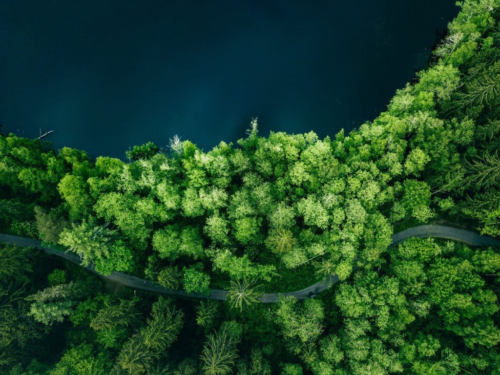 An aerial view of a curving road through the middle of a lush forest symbolizes that through us, corporate clients receive customized, reliable financing solutions that flexibly adapt to various financial needs, encompassing the essence of Customized Business Loans.