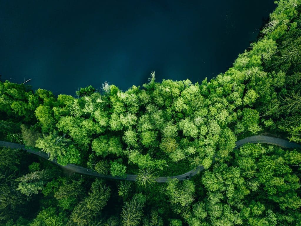 Ilmakuva kaartuvasta tiestä vehreän metsän keskellä symboloi sitä, että yritysasiakkaat saavat kauttamme räätälöityjä, luotettavia rahoitusratkaisuja, jotka mukautuvat joustavasti erilaisiin rahoitustarpeisiin. 